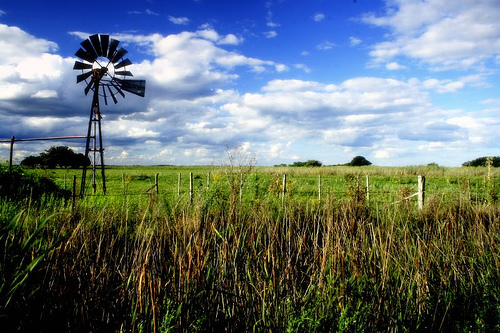 Nadar contra la corriente. El campo argentino y su relacin con la poltica econmica en las ltimas dcadas
