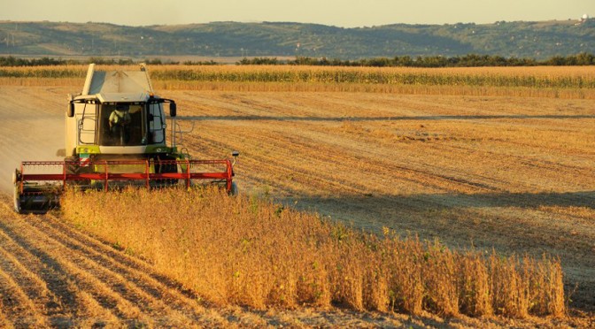 Fuerte retroceso de la insercin externa de la agroindustria entre los aos 2007 y 2016