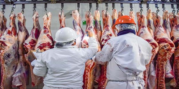 En un mercado intervenido, se reducen fuerte las exportaciones de carne bovina