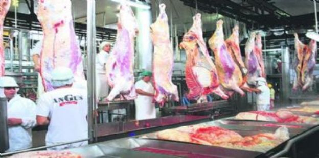 Cmo estn los precios de la carne bovina luego del cierre de exportaciones? Una comparacin con los valores de la regin