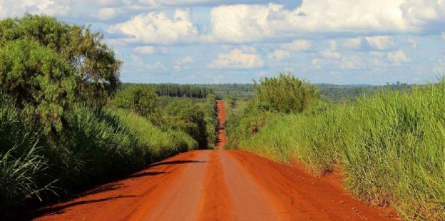 Informe de Coyuntura Regional NEA: Anlisis de la construccin del NEA