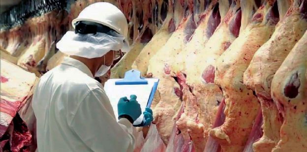 Documento de trabajo: Cunto vale la carne bovina en la regin? Una comparacin de precios minoristas de Argentina y sus vecinos