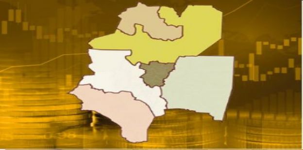 Informe de Coyuntura Regional NOA: Indicadores Econmicos 1er Trimestre 2024