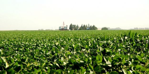 Sin buenos precios internacionales a la vista, el clima pasa a ser clave en el ingreso de agro dlares del 2025