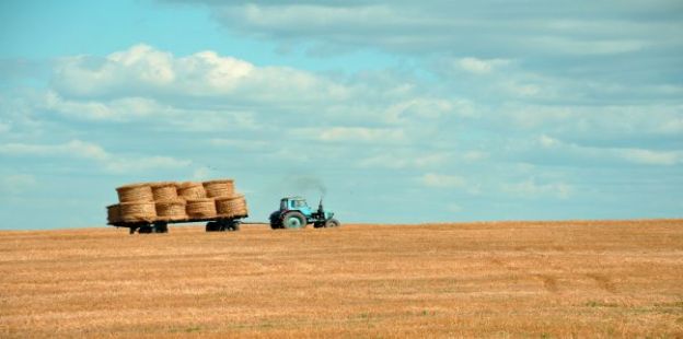 Rentabilidad agrcola: El Campo, a la espera de un centro en 2025